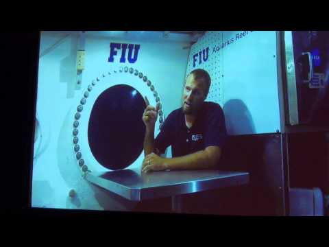 Living in an underwater sea lab | Deron Burkpile and Michael Heithaus | TEDxFIU - UCsT0YIqwnpJCM-mx7-gSA4Q