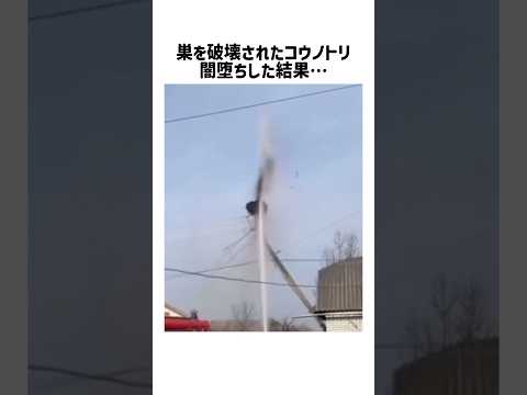 復讐の理由と感情を徹底解説します サムネイル