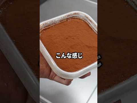 マスカルポーネを使わない「お手軽タッパーティラミス」の作り方教えます　#shorts #パティシエ #お菓子作り #簡単レシピ #スイーツ #料理