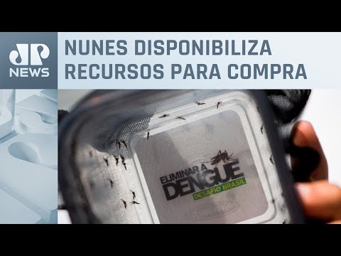 Testes de dengue são feitos em qualquer unidade de saúde