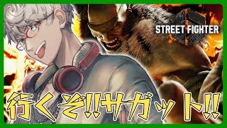 【ストリートファイター6】虎を成す【アルランディス/ホロスターズ】