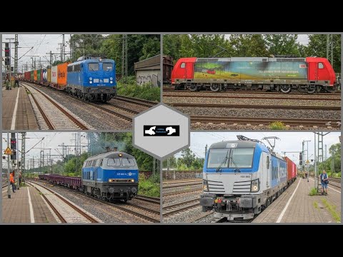 Freight & Passenger Galore! Hamburg Harburg - August 2023 - Part.2