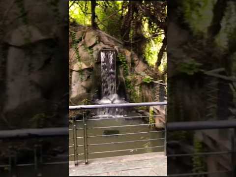 A Stunning Waterfall Inside Shanghai Zoo