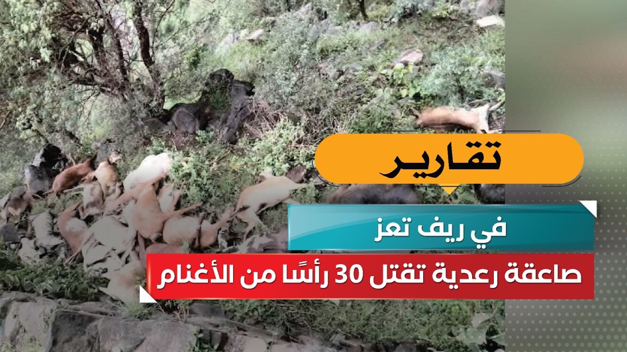قناة السعيدة