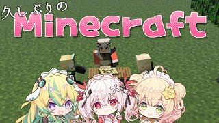 【Minecraft】久しぶりに四角い世界にやってきた！！！！【めいどるーちぇ】