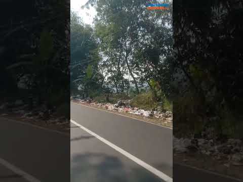 Bau tak sedap dari tumpukan sampah pinggir jalan #sampah