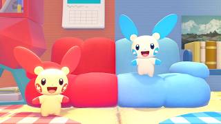アプデを楽しむぽこポケ #pokemonpokopia