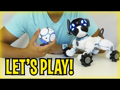Day 2 - LET'S PLAY! CHiP Robot Dog Toy from WowWee (FULL REVIEW) - UCkV78IABdS4zD1eVgUpCmaw
