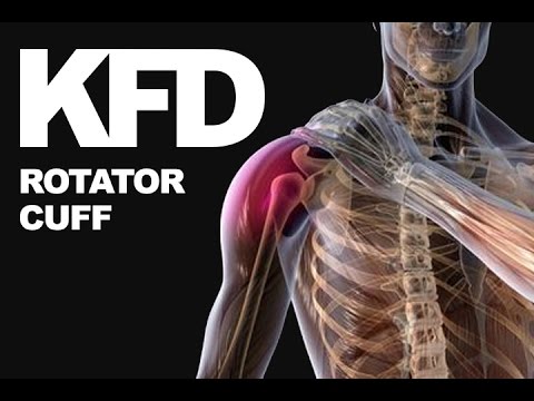 Ćwiczenia na rotatory / rotator cuff - KFD - UCCwsb6pCsJYFp53h9prxXtg