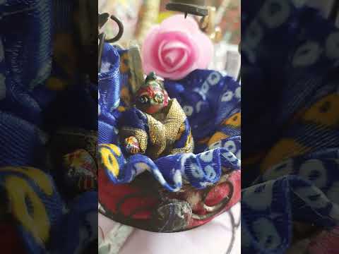 laddu Gopal ki new video Radhe Radhe 🙏 #kahnastatus #krishna #radhakrishna #radha #radheshyam #radhe