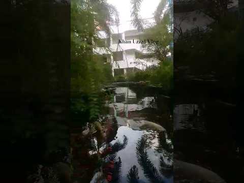 Singapore school park | #bangladesh #singapore #shorts #status #viral #funny #reels #vlog #news #sg