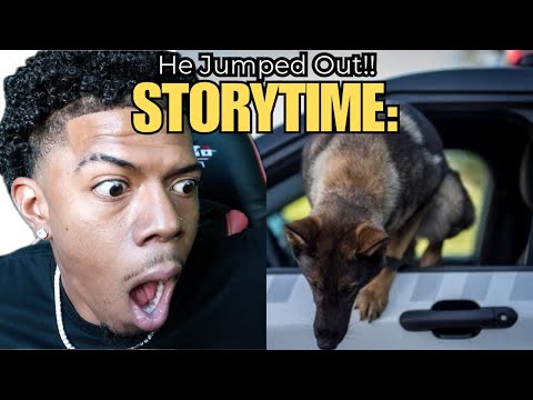 STORYTIME: MY DOG JUMPED OUT THE CAR WINDOW!!!