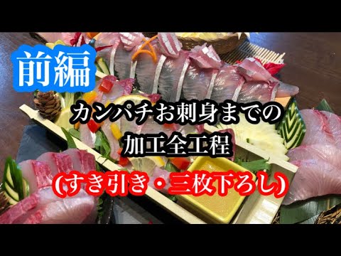 魚猫助チャンネルの最新動画 Youtubeランキング 魚猫助チャンネルの最新動画 Youtubeランキング
