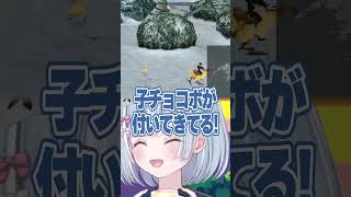 ☾ ໋〖 即帰宅 〗チョコボって○○したらいけないんですか⁉️ #FF8  #ファイナルファンタジーVIII〖 天羽衣┊ななしいんく 〗