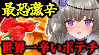 うすしお？超激辛？二択をミスると即アウト！世界一辛いポテチで超激辛ロシアンルーレット！【冥鳴ひまり/Vtuber】