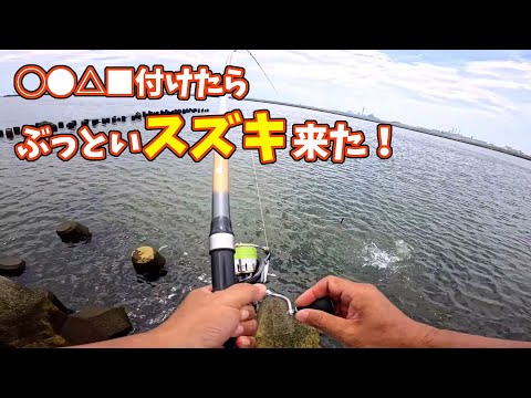 〇●△■付けたら、ぶっといスズキが釣れました。