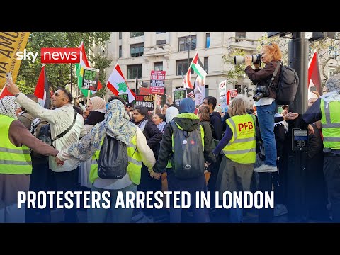 Police arrest 15 protesters during London demonstrations over Middle East conflict