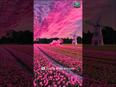 Places On Earth That Don't Feel Real! #travel #explore #adventure #shorts