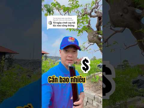 Cần bao nhiêu vốn để chơi cây ? #tuanbonsai #vòi_tưới_cây #caycanh
