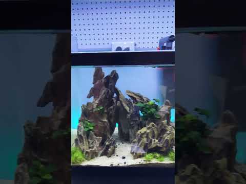 Backlighting aquariums 