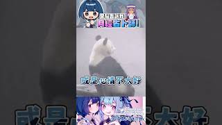 ➤ 我的觀眾有我的月經占卜師?  #vtuber  #shorts