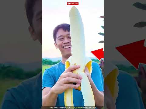 #facts #funny #amazingfacts #banana #animals #animatedcartoon #animatedmovie #cartoon #funnyanimals