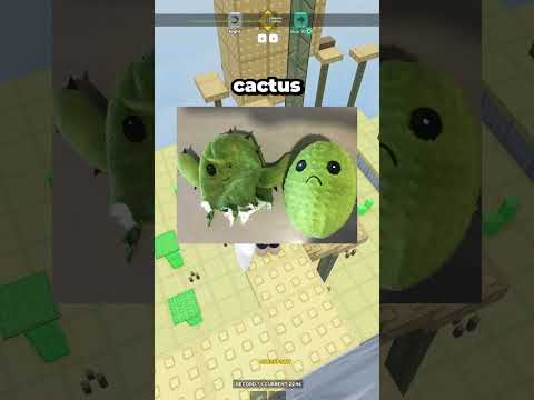 Rompieron objetos y lo que había dentro los dejó en shock 😱🔨