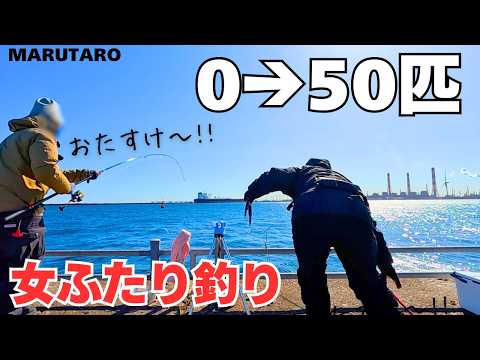 群れはいるのに釣れない…原因はコレでした!サヨリ釣りのコツin鹿島