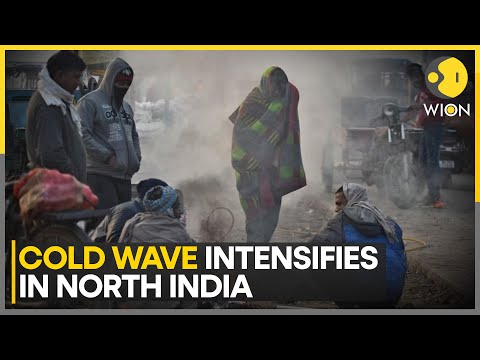 Intense Winter Chill Hits North India, Dense Fog Disrupts Life | World News | WION