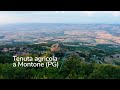 Gebouw en landbouwgrond in Montone (PG) 1