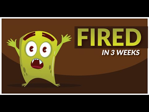 How to lose a AAA game development job in only 3 weeks - unity devlog
