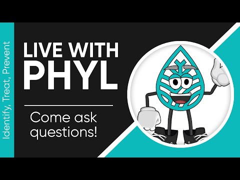 Check out the ASG Checklist with Phyl and ask ques Come ask questions as Phyl goes through the Official ASG Checklist.
