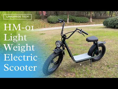 HM-01 Light Weight Electric Scooter Daily Commute