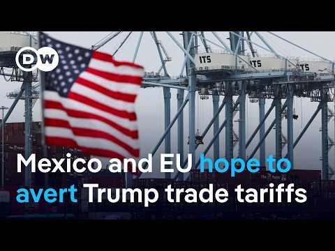 What could a transatlantic tariff escalation mean for the global economy? | DW News