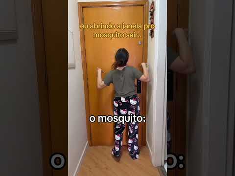 DA UMA RAIVA QUE O MOSQUITO NÃO CONSEGUE ACHAR A JANELA PRA SAIR KAKAKAKA😹❤️