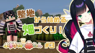 [LIVE] 【マイクラ】ゲリラで整地！
