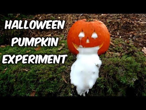 Halloween Pumpkin Experiment - UCe_vXdMrHHseZ_esYUskSBw