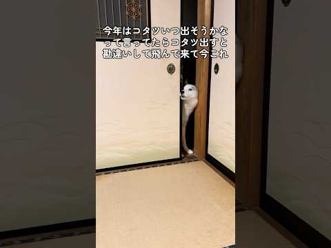 でてないじゃん…て顔してた #shorts