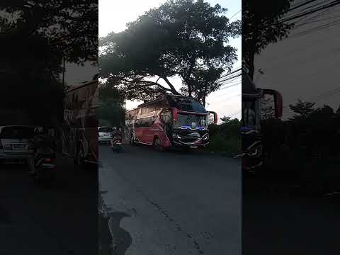 PO SAHAALAH SUITES CLASS #shorts #sahaalah #suitesclass #laksana #legacysr2