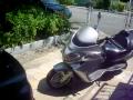 smylee3760