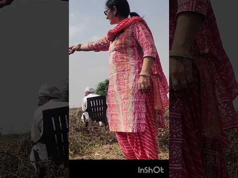 mitwa music/rajsthan village life/village lifestyle/Indian village culture #viral #shorts #trending