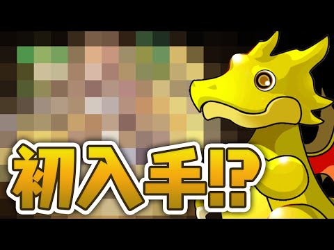 【何故そうなる】ランク1000メモリアルガチャを引いた結果…！【パズドラ】