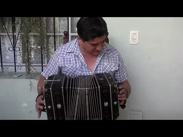 What Latin Music Instrument Is Very Similar to the Accordion?