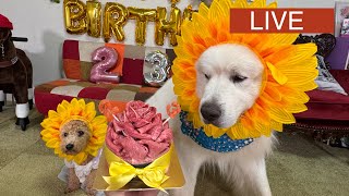 動画サムネイル