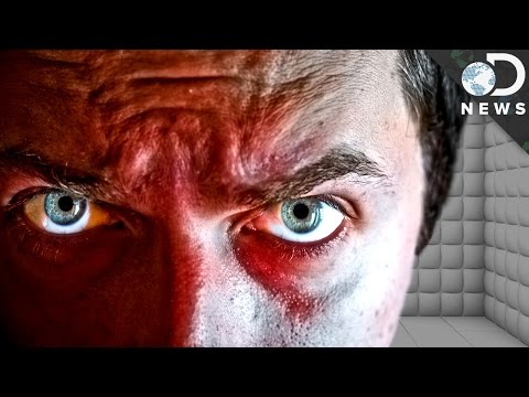 Psychopath vs. Sociopath: What’s The Difference? - UCzWQYUVCpZqtN93H8RR44Qw