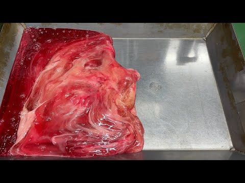 【製造風景】七五三 紅白 千歳飴の作り方 / 2025 /苺ミルク味