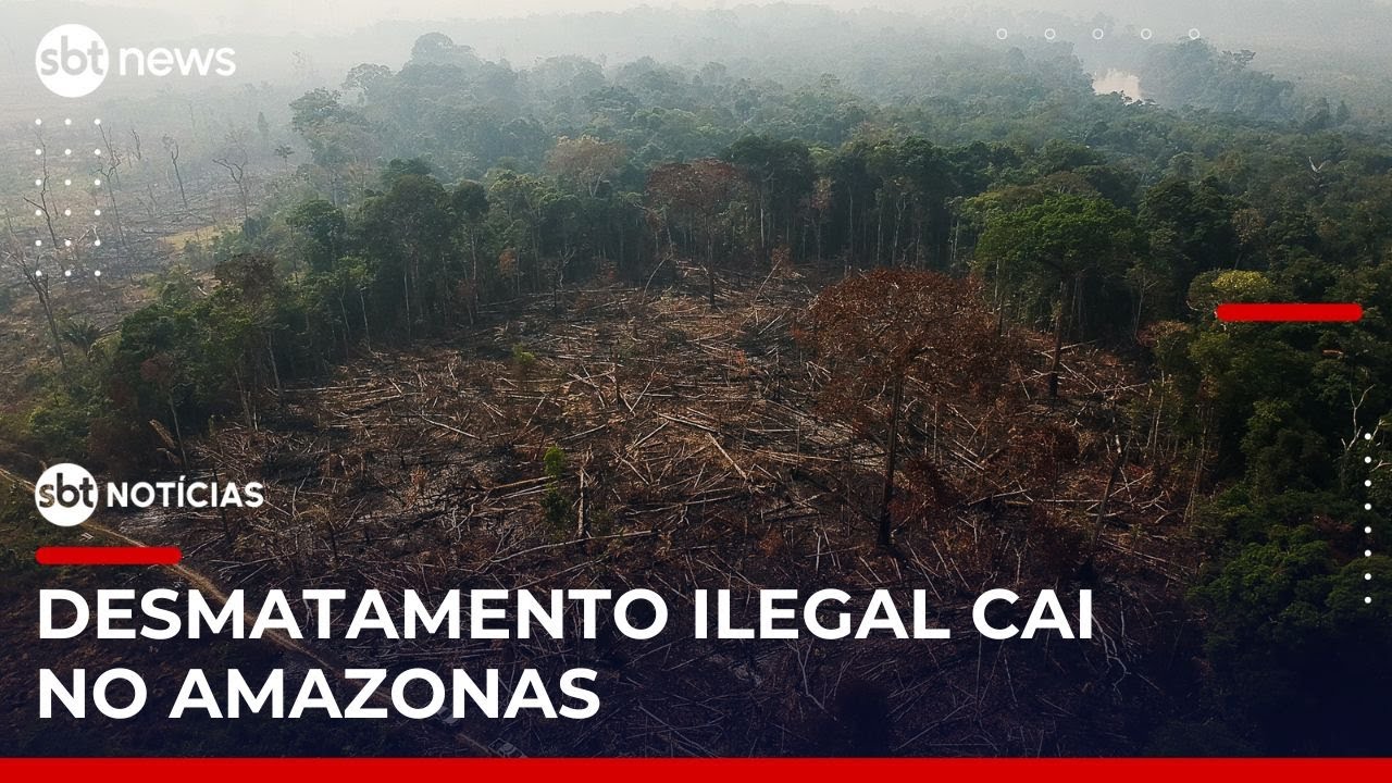 Taxa de desmatamento no Amazonas cai mais de 50% em junho | #SBTNotícias