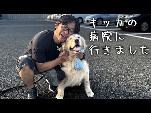 キッカの病院に行ってきました