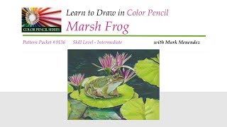 Mark Mendez - Marsh Frog