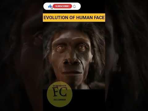 evolution of face 😌 #shorts